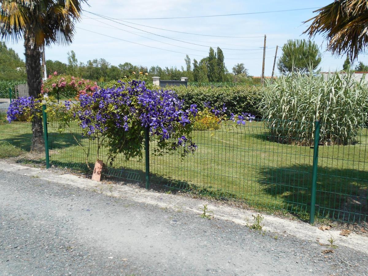 Marais Poitevin Bord Riviere Peche ,Barque, Velos, Wifi, Linge, Cheminee, Cuisine, Terrain De Boules La Taillee 외부 사진