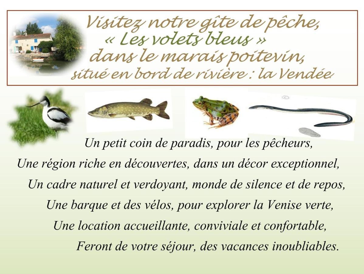 Marais Poitevin Bord Riviere Peche ,Barque, Velos, Wifi, Linge, Cheminee, Cuisine, Terrain De Boules La Taillee 외부 사진
