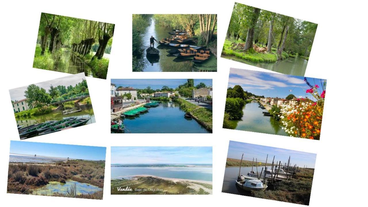 Marais Poitevin Bord Riviere Peche ,Barque, Velos, Wifi, Linge, Cheminee, Cuisine, Terrain De Boules La Taillee 외부 사진